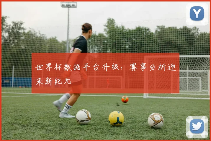 世界杯数据平台升级,赛事分析迎来新纪元