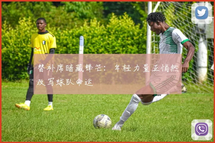 替补席暗藏锋芒：年轻力量正悄然改写球队命运