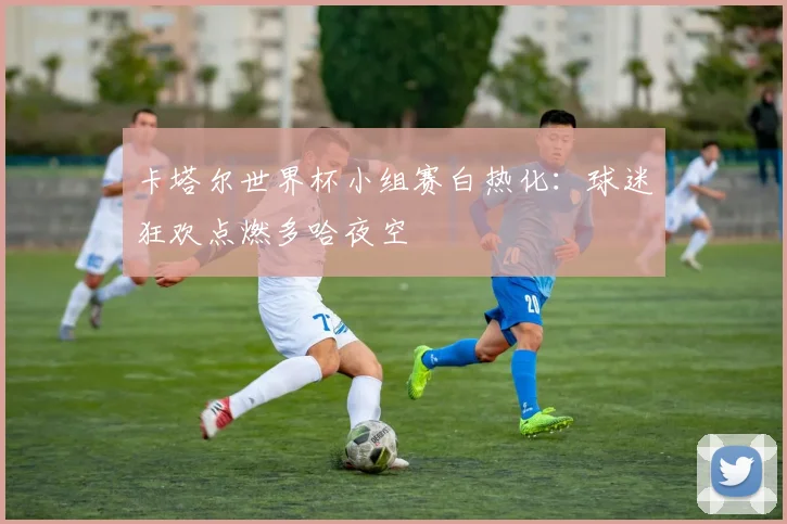 卡塔尔世界杯小组赛白热化:球迷狂欢点燃多哈夜空