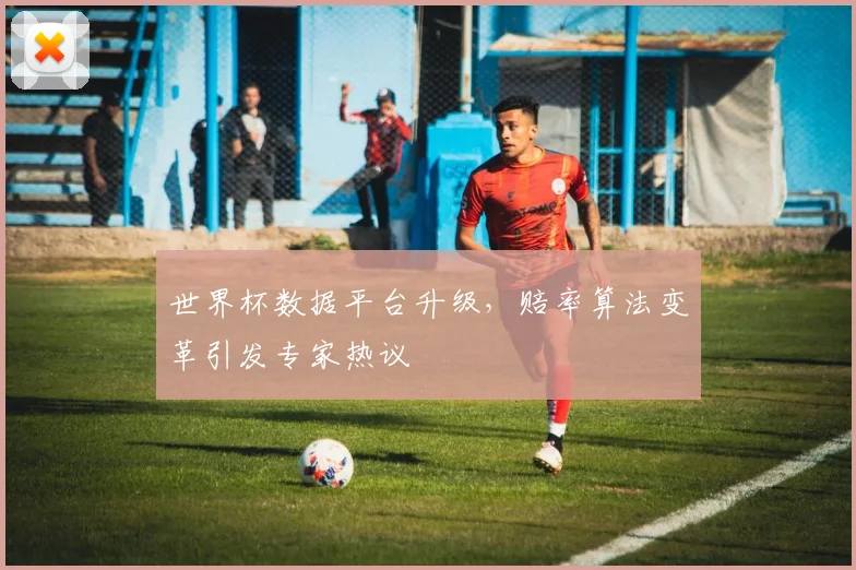 世界杯数据平台升级，赔率算法变革引发专家热议