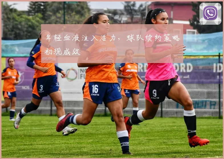 年轻血液注入活力，球队续约策略初现成效