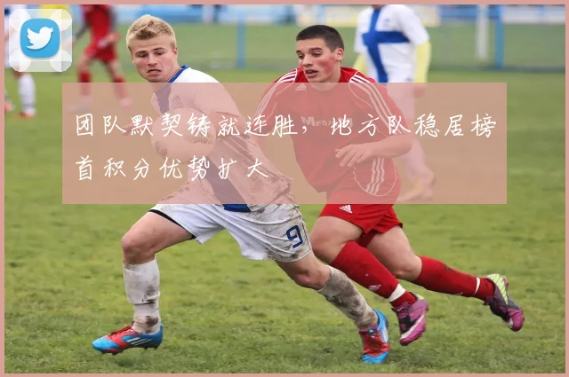 团队默契铸就连胜，地方队稳居榜首积分优势扩大