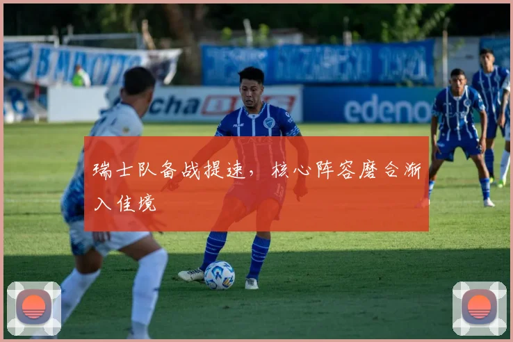 瑞士队备战提速,核心阵容磨合渐入佳境