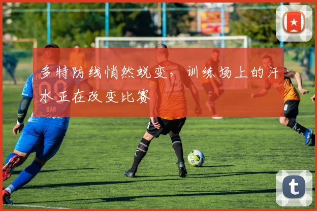 多特防线悄然蜕变，训练场上的汗水正在改变比赛